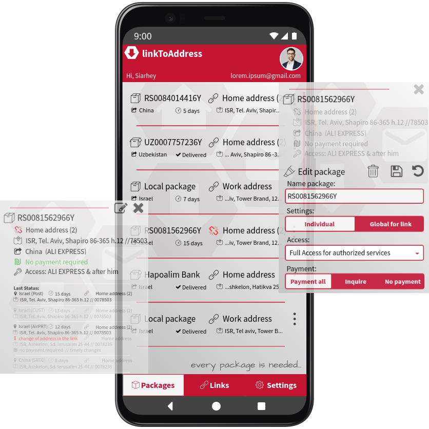 Main application window